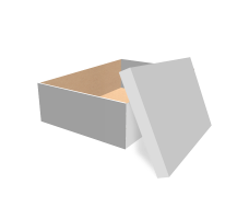 Самосборная коробка 350х250х100 мм, Т-22 "Е" белый